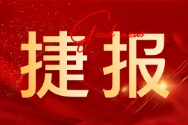马年开门红！众麦网络中标宁银消金、海港职工电影福利项目，领跑政企数字权益供应链赛道！