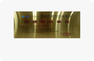 宁波市软件行业协会副理事长单位