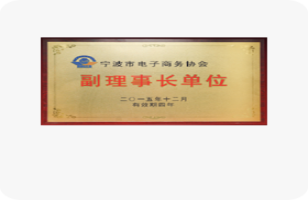 宁波市电子商务协会副理事长单位