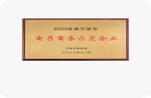 2020年宁波市电子商务示范企业