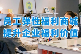 全面解析！众麦员工弹性福利商城如何优化企业福利管理效能？